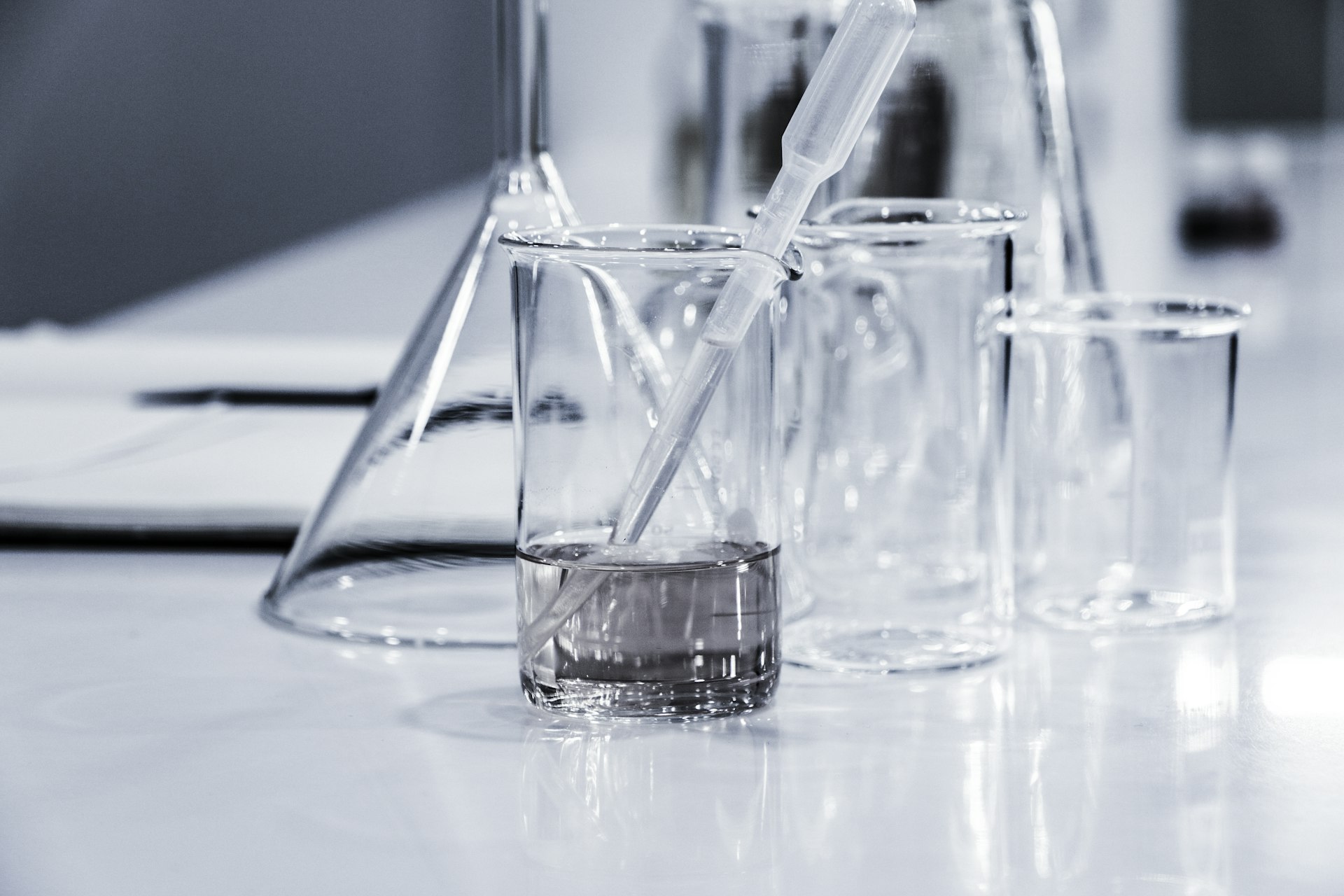 Laboratory beakers holding chemical solutions